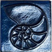 Sapphire Iridescent Nautilus
