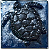 Sapphire Iridescent Turtle