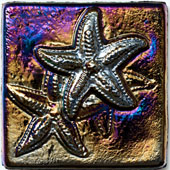 Bondi Iridescent Starfish