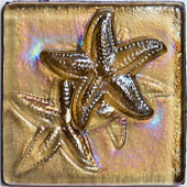 Bondi Iridescent Starfish
